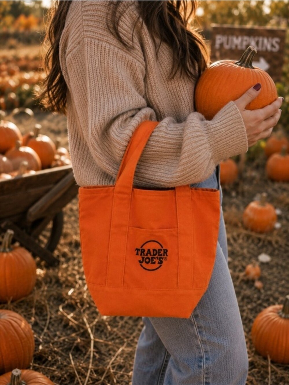 Trader Joe's Orange Mini Canvas Tote Everyday Market Bag Halloween Fall Harvest